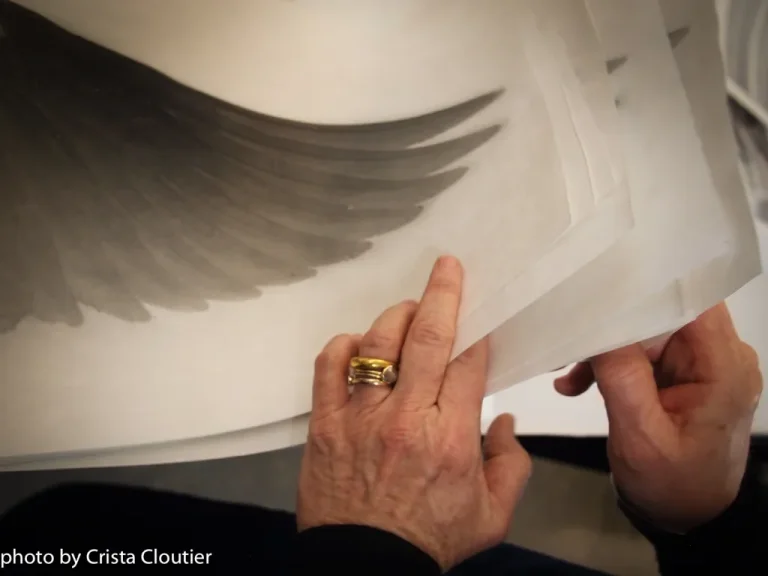 Hands leafing through artworks with wing drawing on top