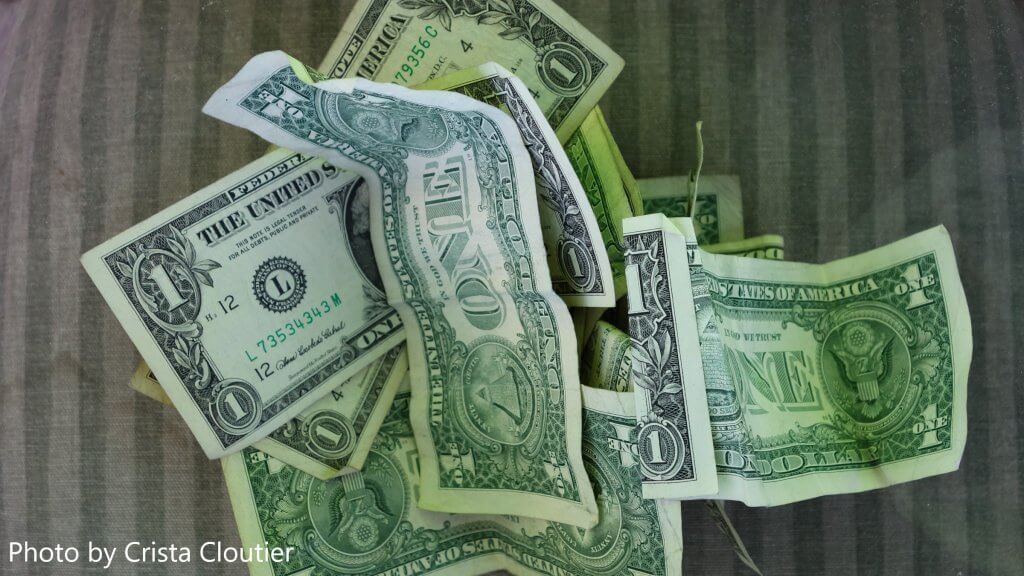 Money bills photographed by Crista Cloutier.